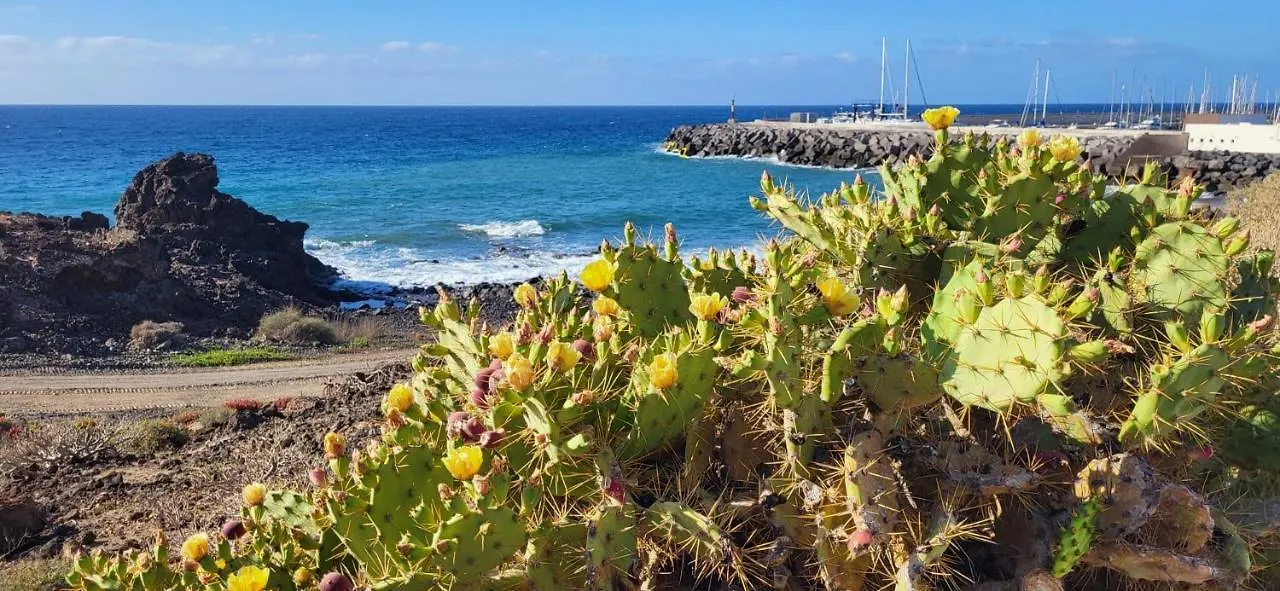 Apartment Albatros Tenerife Golf Sea View San Miguel de Abona Spain